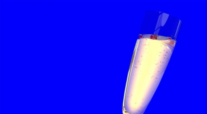 Bilderbuch kündigen neues Album Magic Life an