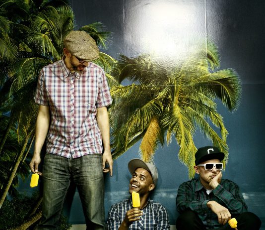 Beginner – 23. November 2016 in der Hanns-Martin-Schleyer-Halle BEGINNER © Paul Ripke