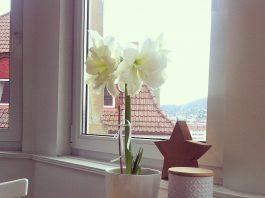 Weihnachten steht vor der Türe … Last minute Musikgeschenke gefällig?