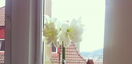 Weihnachten steht vor der Türe … Last minute Musikgeschenke gefällig?