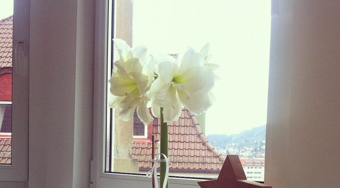 Weihnachten steht vor der Türe … Last minute Musikgeschenke gefällig?