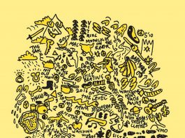 Mac DeMarco kündigt neues Album THIS OLD DOG an