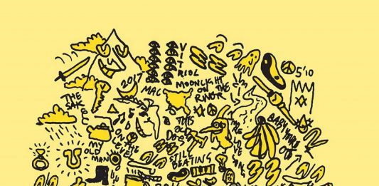 Mac DeMarco kündigt neues Album THIS OLD DOG an