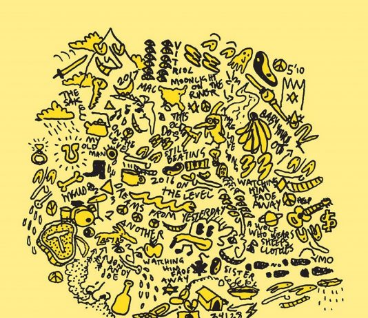 Mac DeMarco kündigt neues Album THIS OLD DOG an