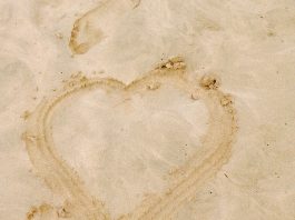 Unsere Valentinstag Playlist 2017 © About Musïc | J. Zekl