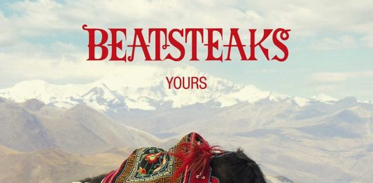 Beatsteaks – RecordReleaseKonzert in Berlin Foto © https://www.facebook.com/beatsteaks