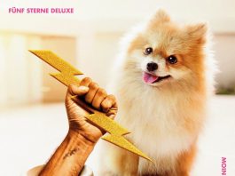 Fünf Sterne Deluxe melden sich nach über 15 Jahren zurück!