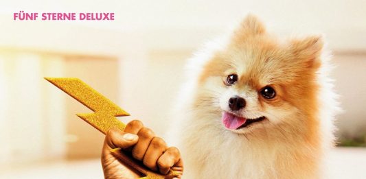 Fünf Sterne Deluxe melden sich nach über 15 Jahren zurück!