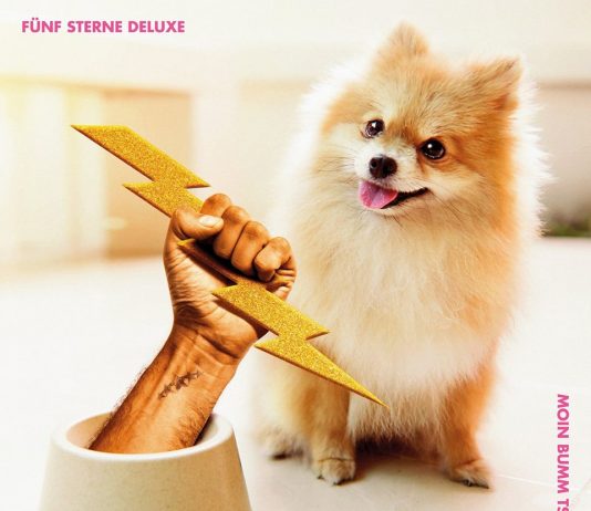 Fünf Sterne Deluxe melden sich nach über 15 Jahren zurück!