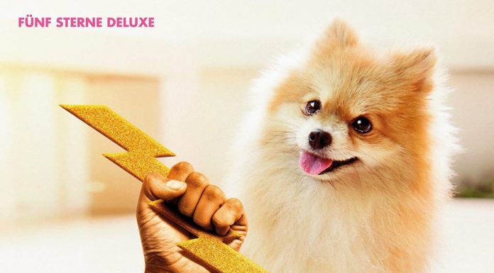 Fünf Sterne Deluxe melden sich nach über 15 Jahren zurück!