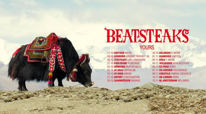 Beatsteaks „Yours“ Tour 2017 © facebook.com/beatsteaks