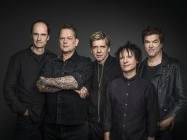 Die Toten Hosen in Stuttgart – 21.07.2018