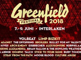 Das Greenfield Festival veröffentlicht die ersten Bands für 2018