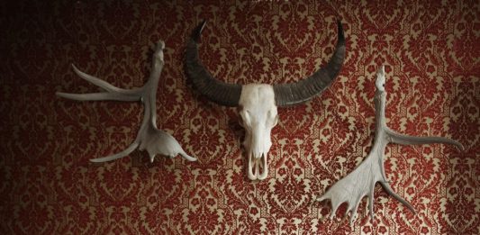 Danko Jones in Stuttgart – 26.11.2018