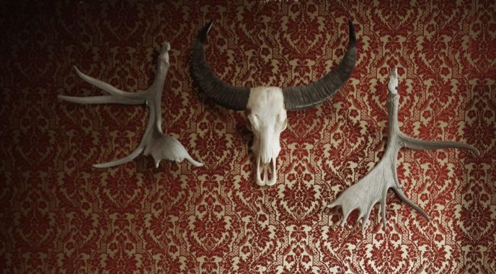 Danko Jones in Stuttgart – 27.10.2024