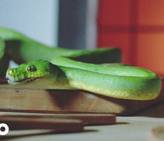 Vampire Weekend – Harmony Hall