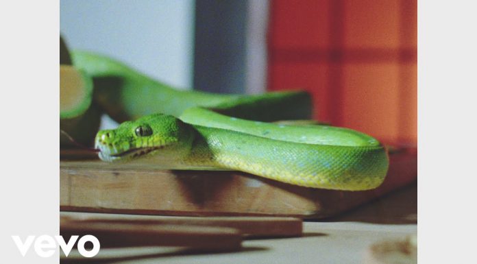 Vampire Weekend – Harmony Hall