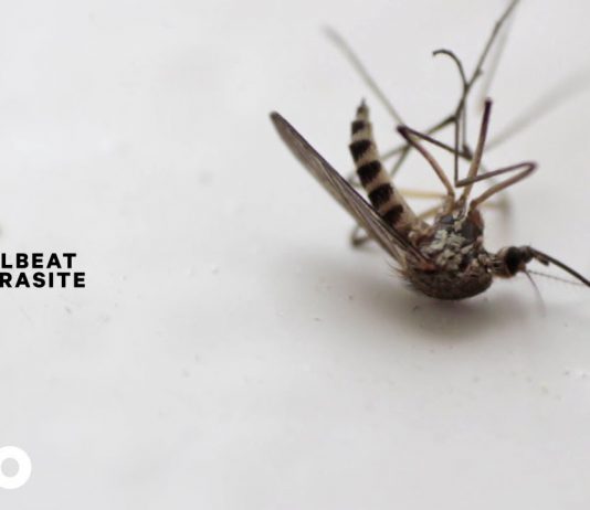 Volbeat – neue Single samt Video zu Parasite