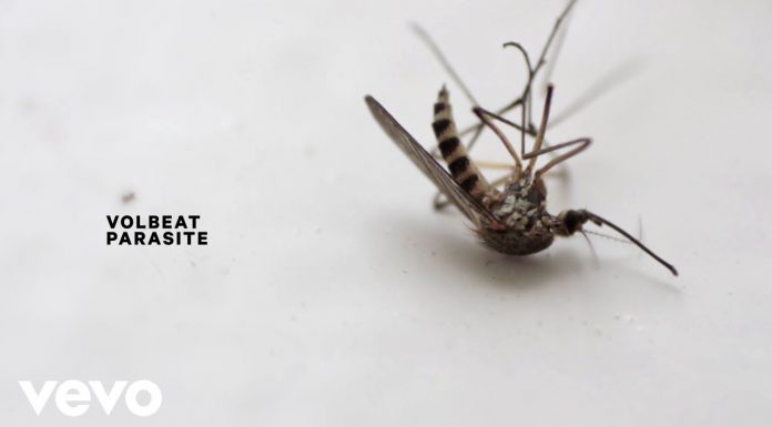 Volbeat – neue Single samt Video zu Parasite