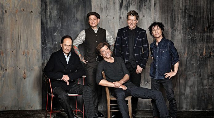 Die Toten Hosen – Tourabsage