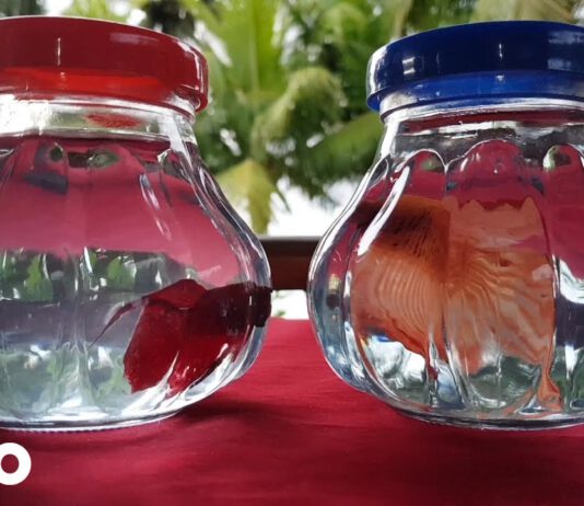 Maeckes teilt seinen Gitarrenkonzerte Song „Hier & Da“