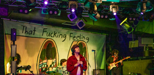 Adam Green brachte That Fucking Feeling nach Stuttgart