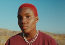 Neue Single von Arlo Parks feat. Phoebe Bridgers – Pegasus