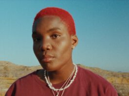 Neue Single von Arlo Parks feat. Phoebe Bridgers – Pegasus