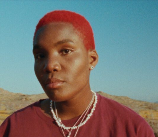 Neue Single von Arlo Parks feat. Phoebe Bridgers – Pegasus