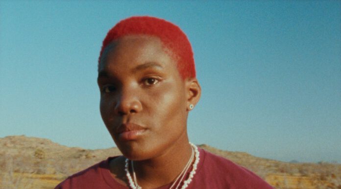 Neue Single von Arlo Parks feat. Phoebe Bridgers – Pegasus