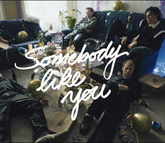 Neuer Track von den Giant Rooks – Somebody Like You