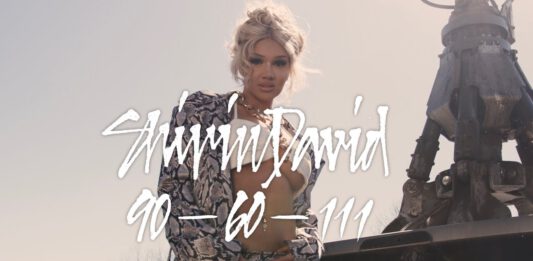 Shirin David – 90-60-111