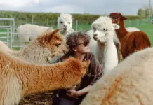 Neuer Song von Bill Ryder-Jones – This Can’t Go On