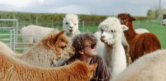 Neuer Song von Bill Ryder-Jones – This Can’t Go On